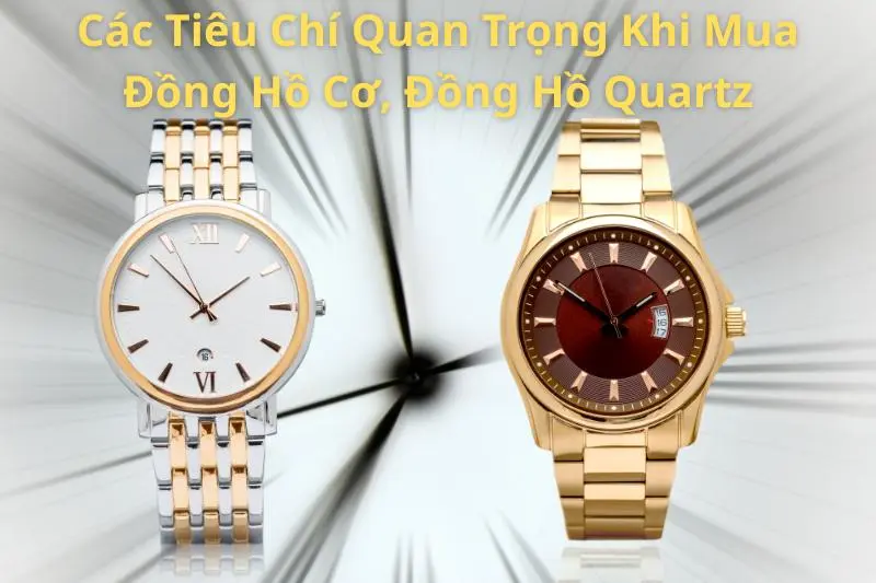 Các Tiêu Chí Quan Trọng Khi Mua Đồng Hồ Cơ, Đồng Hồ Quartz
