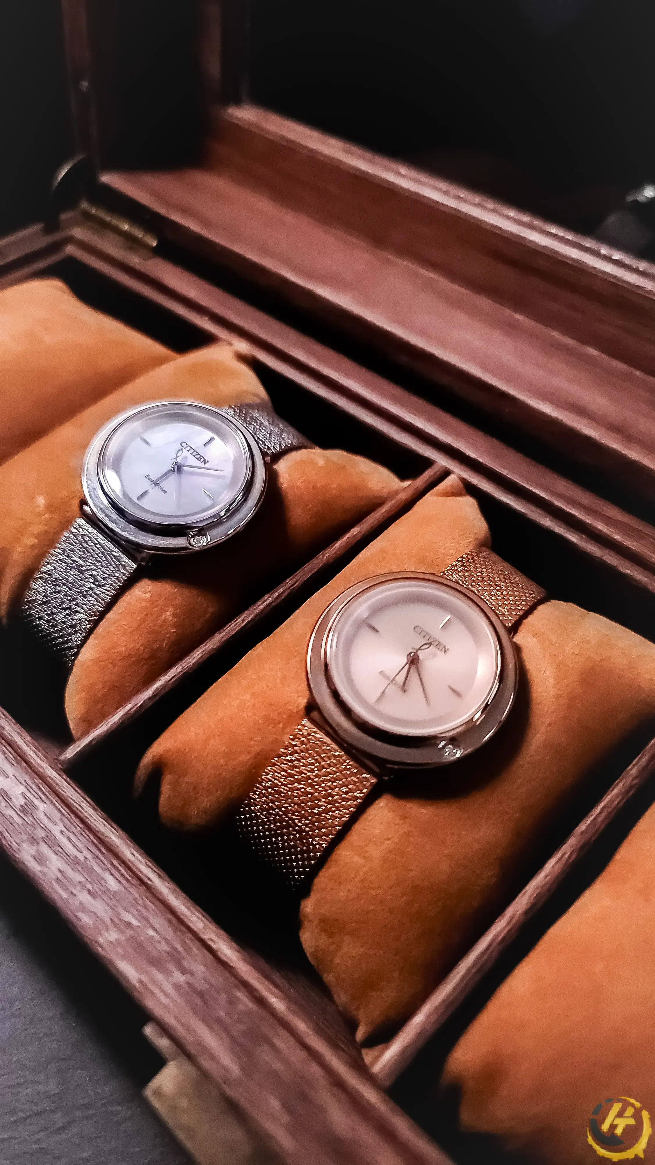 Citizen Eco-Drive Ambiluna - Nguyệt Hoa Phong Cơ